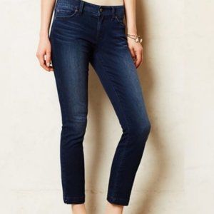 Level 99 Lilly skinny straight jeans size 29P slight crop